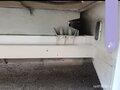 2014 Mercedes-Benz Sprinter, белый, 2400000 рублей - вид 7