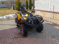 2016 Stels ATV-600YL Леопард, жёлтый, 490000 рублей - вид 8