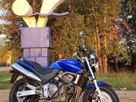 2002 Honda CB 600F Hornet, синий, 329000 рублей, вид 1
