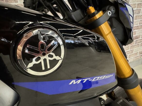 2023 Yamaha MT-09 (FZ-09), чёрный, 1182000 рублей - вид 18