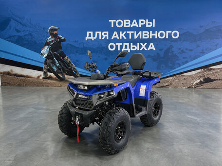 2026 Bizon YK250 LUX EFI, синий, 279700 рублей, вид 3