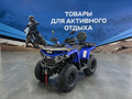 2026 Bizon YK250 LUX EFI, синий, 268000 рублей - вид 2