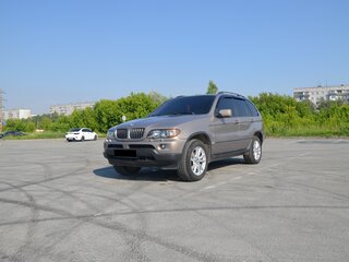 2005 BMW X5 3.0i I (E53) Рестайлинг, серый, 1050000 рублей, вид 3