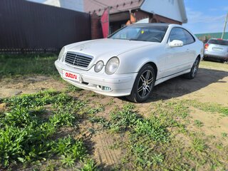 2000 Mercedes-Benz CLK-Класс 230 I (W208) Рестайлинг, белый, 350000 рублей, вид 3