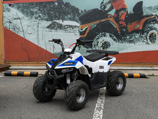 2026 Bison Eagle, белый, 89900 рублей, вид 1