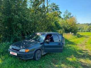 2010 Lada (ВАЗ) 2114, чёрный, 200000 рублей, вид 1
