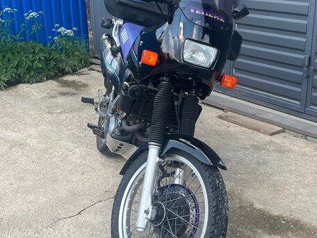 1991 Yamaha XTZ660 Tenere, чёрный, 250000 рублей, вид 3