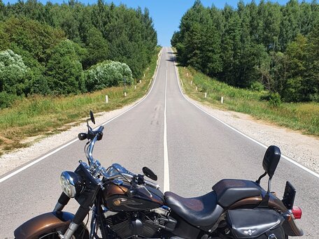2013 Harley-Davidson Fat Boy, коричневый, 1200000 рублей, вид 1