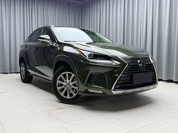 2021 Lexus NX 200 I Рестайлинг, зелёный, 3290023 рублей - вид 4