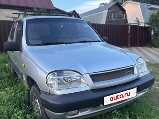 2004 Chevrolet Niva I, серебристый, 350000 рублей, вид 2