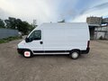 2011 Fiat Professional Ducato, белый, 900000 рублей