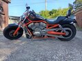 2004 Harley-Davidson V-Rod, оранжевый, 650000 рублей - вид 1