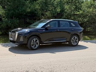 2025 Hongqi HS3, чёрный, 2730000 рублей, вид 5