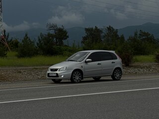 2009 Lada (ВАЗ) Kalina Sport I, серебристый, 350000 рублей, вид 5