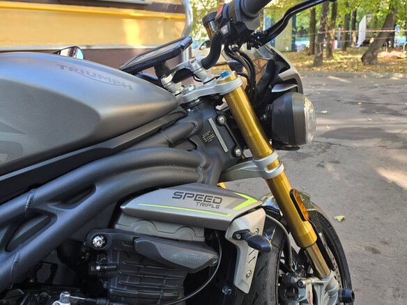 2021 Triumph Speed Triple, серый, 900000 рублей - вид 8