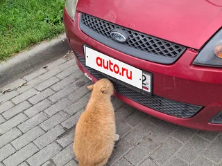 2007 Ford Fiesta Mk5, красный, 250000 рублей, вид 1