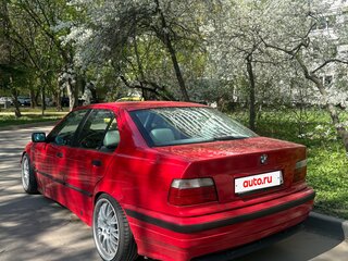 1997 BMW 3 серии 316i III (E36), красный, 650000 рублей, вид 4