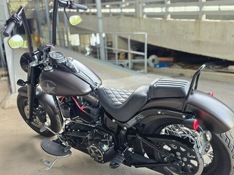 2015 Harley-Davidson Softail Slim, серый, 985000 рублей, вид 3