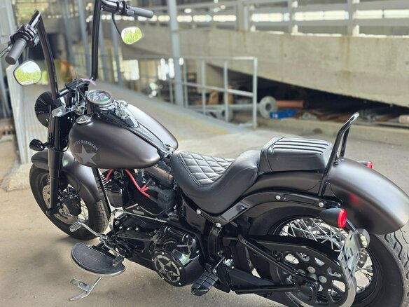 2015 Harley-Davidson Softail Slim, серый, 985000 рублей - вид 2