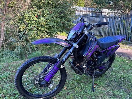 2024 Motoland XR250, фиолетовый, 100999 рублей, вид 3