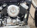 2001 Yamaha XVS650 Drag Star, фиолетовый, 408000 рублей - вид 4
