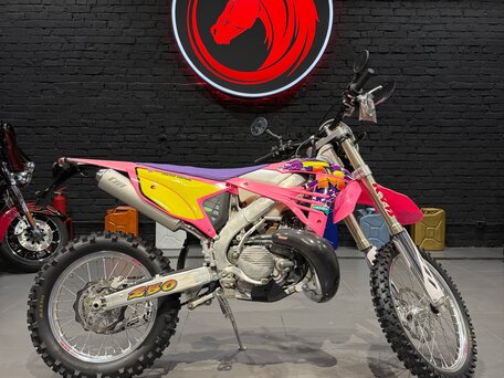 2021 TM Racing EN 250, розовый, 575000 рублей, вид 2