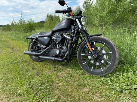 2019 Harley-Davidson Sportster 883, чёрный, 790000 рублей, вид 5