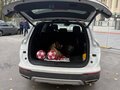 2024 Dongfeng DFSK ix7, белый - вид 4