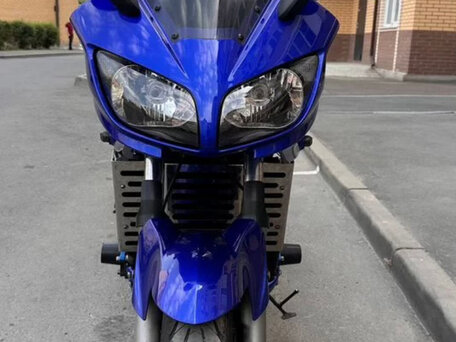 2002 Yamaha FZS1000 Fazer, синий, 385000 рублей, вид 4