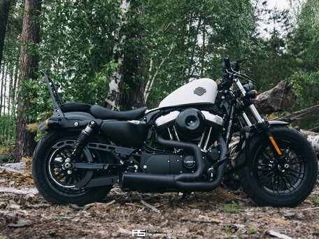 2016 Harley-Davidson Forty-Eight, белый, 900000 рублей, вид 1