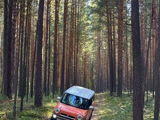 2014 Suzuki Hustler I, оранжевый, 830000 рублей, вид 3