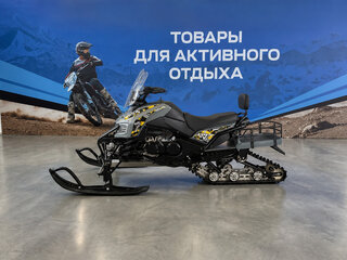 2026 Другие Снегоходы (другие), чёрный, 250300 рублей, вид 3