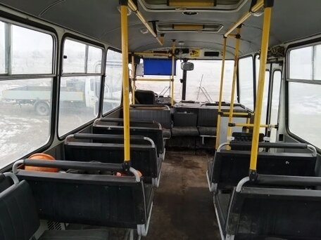 2005 ПАЗ 3206, белый, 387183 рублей, вид 2