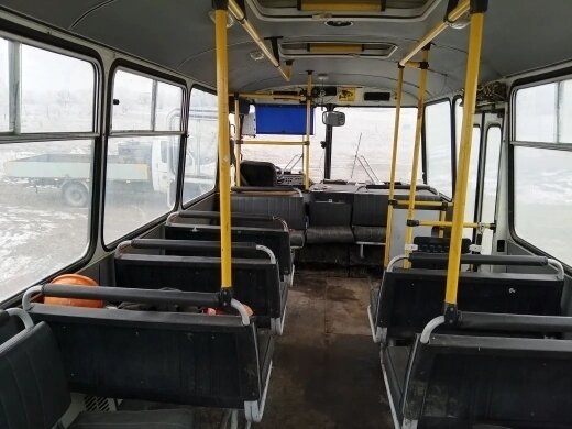 2005 ПАЗ 3206, белый, 387183 рублей - вид 1