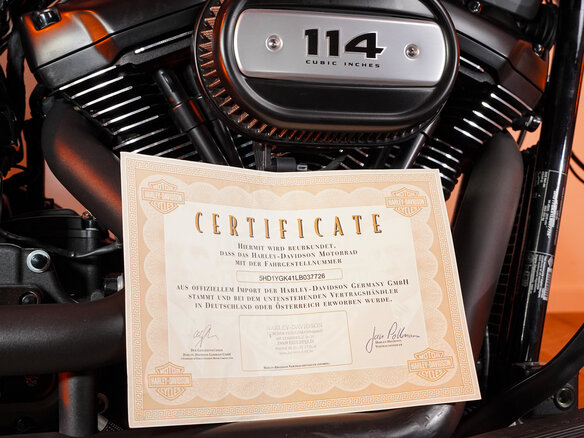 2020 Harley-Davidson Fat Boy, серебристый, 2650000 рублей - вид 27