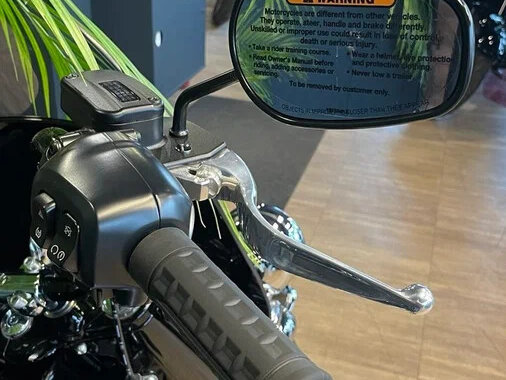 2025 Harley-Davidson Heritage, чёрный, 3850000 рублей - вид 17