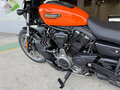2024 Harley-Davidson Nightster, оранжевый, 1100000 рублей - вид 6