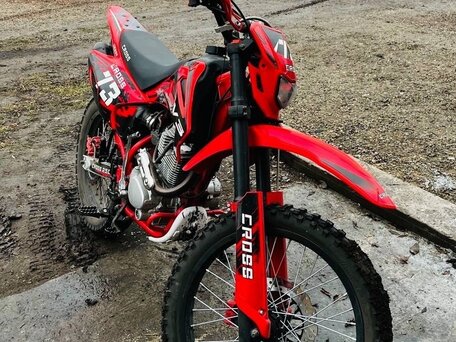 2024 Wels MX250R5, красный, 128000 рублей, вид 1