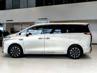 2024 Wey 80 Premium 37.96 kWh, золотистый, 6899000 рублей, вид 2