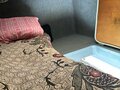 2001 Mercedes-Benz Atego, белый, 1550000 рублей - вид 11