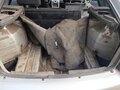 2008 Lada (ВАЗ) Priora I, серебристый, 285000 рублей - вид 8