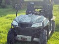 2011 Stels UTV 800H, зелёный, 550000 рублей