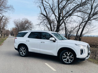 2022 Hyundai Palisade I, белый, 3300000 рублей, вид 2