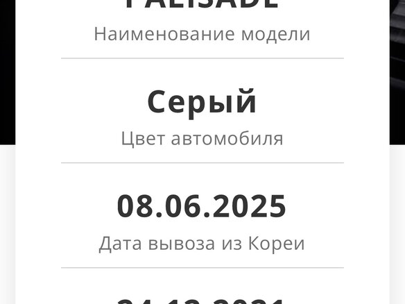 2021 Hyundai Palisade I, серый, 4800000 рублей - вид 18