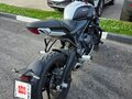 2024 Triumph Trident 660, синий, 950000 рублей - вид 3