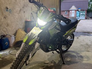 2020 Racer Panther, зелёный, 80000 рублей, вид 1