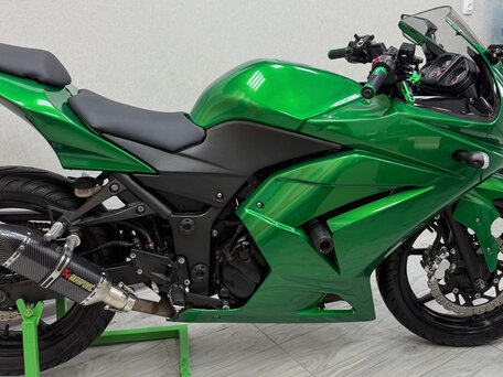 2010 Kawasaki 250 TR, зелёный, 365000 рублей, вид 4