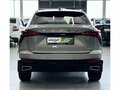 2026 Haval F7x II, серый - вид 5