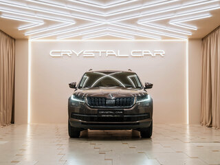 2019 Skoda Kodiaq I, коричневый, 3050000 рублей, вид 4