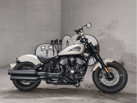 2025 Indian Chief, серый, 1417000 рублей, вид 1